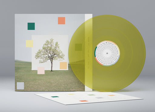 Washed Out - Notes From A Quiet Life vinyl - Record Culture
