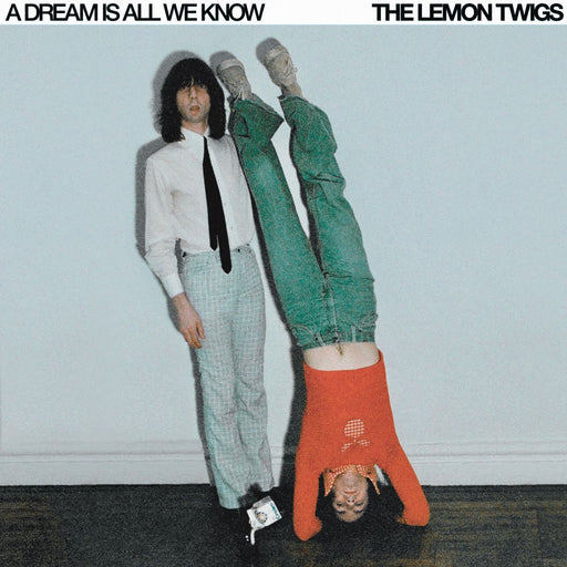 The Lemon Twigs - A Dream Is All We Know vinyl - Record Culture
