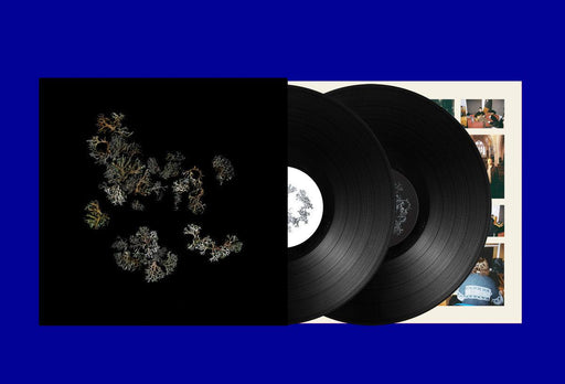 Deathcrash - Return (2024 Repress) vinyl - Record Culture