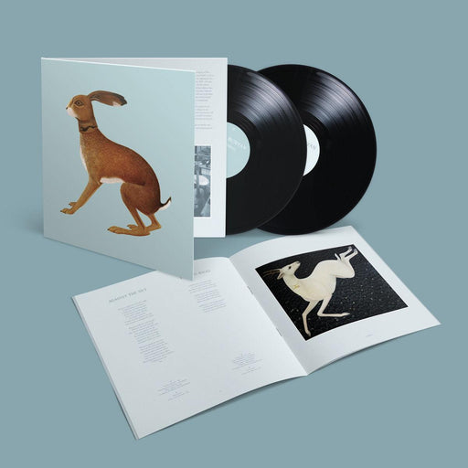 Vashti Bunyan - Lookaftering (Expanded Edition) vinyl - Record Culture