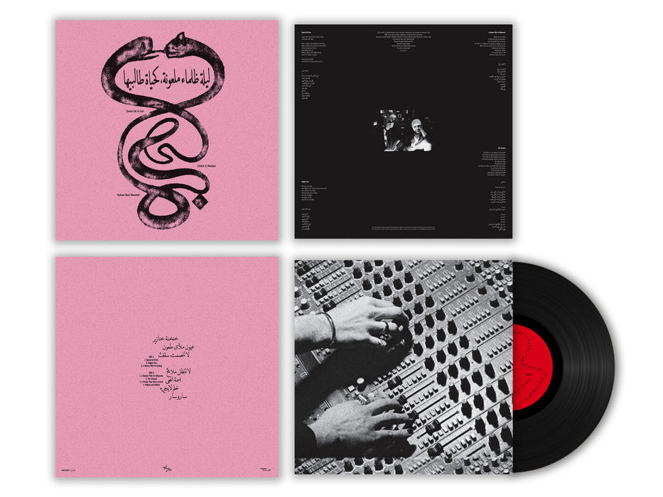Radwan Ghazi Moumneh & Frédéric D. Oberland - Eternal Life No End (ليلة ظلماء ملعونة، كحياة طالبيها) vinyl - Record Culture