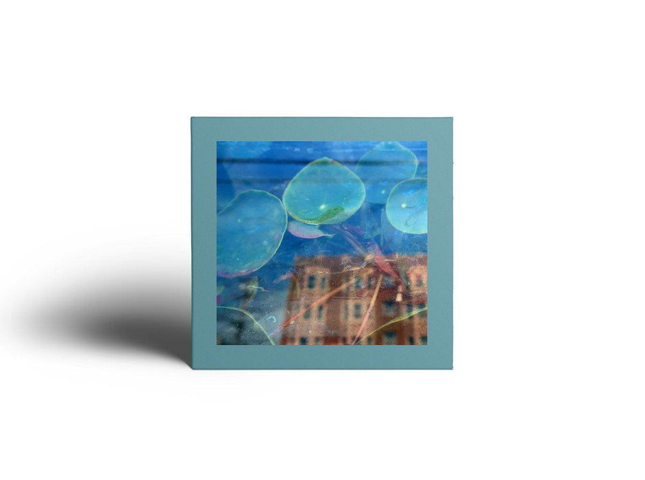 The Reds, Pinks & Purples - Acknowledge Kindness vinyl - Record Culture