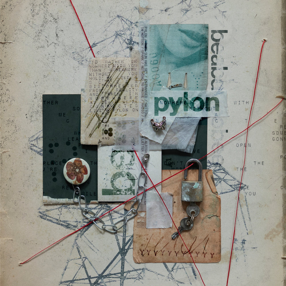 Beabadoobee - Pylon vinyl - Record Culture