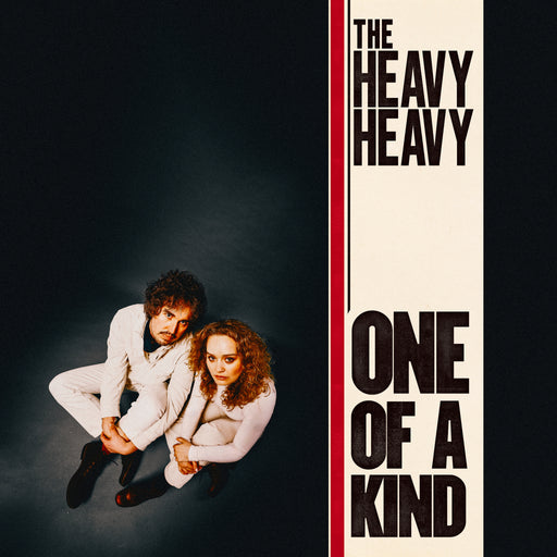 The Heavy Heavy - One Of A Kind vinyl - Record Culture