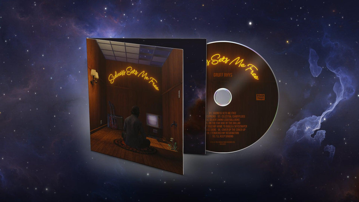 Gruff Rhys - Sadness Sets Me Free Vinyl - Record Culture