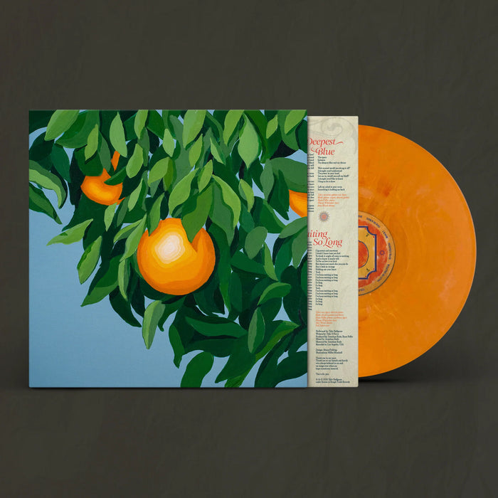 Tyler Ballgame - For The First Time, Again vinyl - Record Culture
