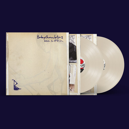 Babyshambles - Down in Albion (20th Anniversary Edition) vinyl - Record Culture
