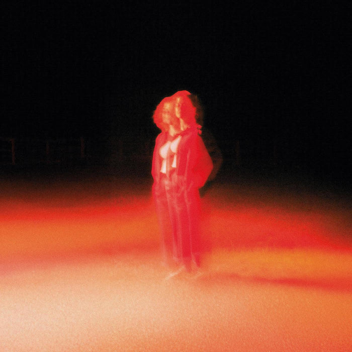 Katherine Priddy - These Frightening Machines vinyl - Record Culture