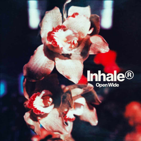 Inhaler - Open Wide vinyl - Record Culture