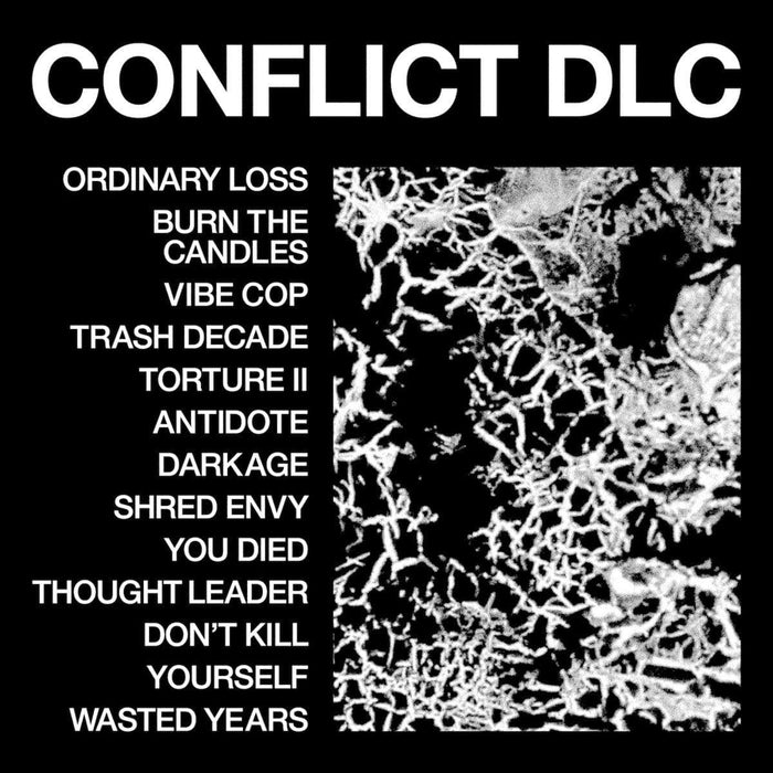 HEALTH - CONFLICT DLC vinyl - Record Culture