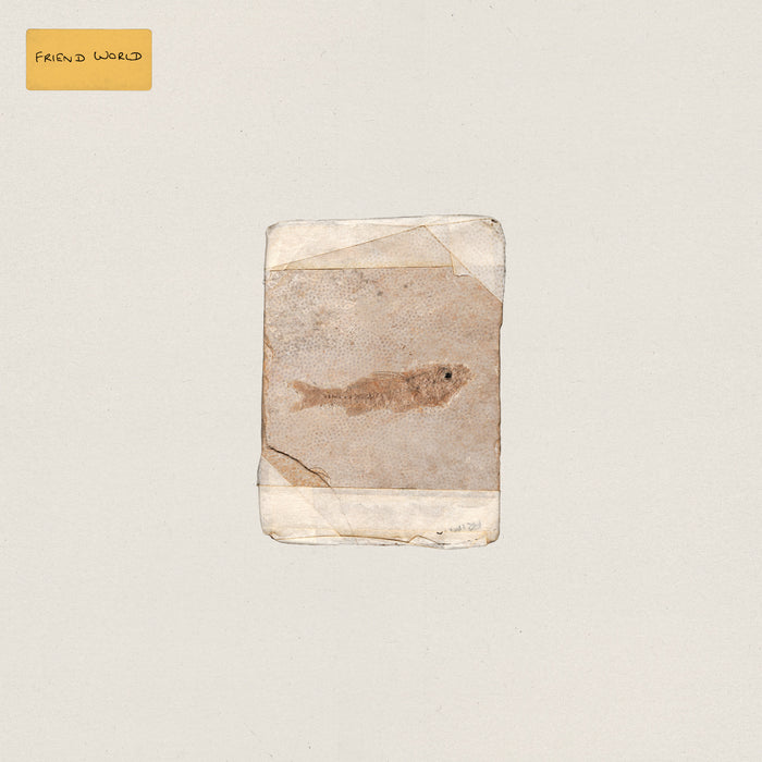 Do Nothing - Friend World vinyl - Record Culture