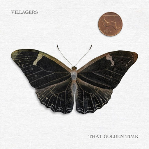 Villagers - That Golden Time vinyl - Record Culture