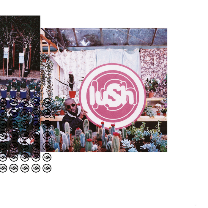 Lush - Lovelife (2023 Remaster) Vinyl - Record Culture