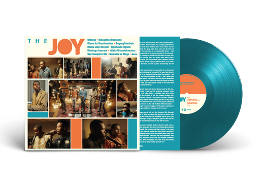The Joy - The Joy vinyl - Record Culture