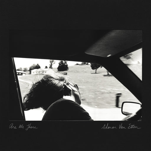Sharon Van Etten - Are We There (10 Year Anniversary Edition) vinyl - Record Culture