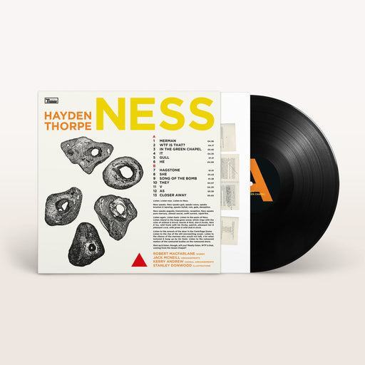 Hayden Thorpe - Ness vinyl - Record Culture