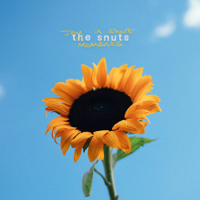 The Snuts - Joy In Short Moments vinyl - Record Culture