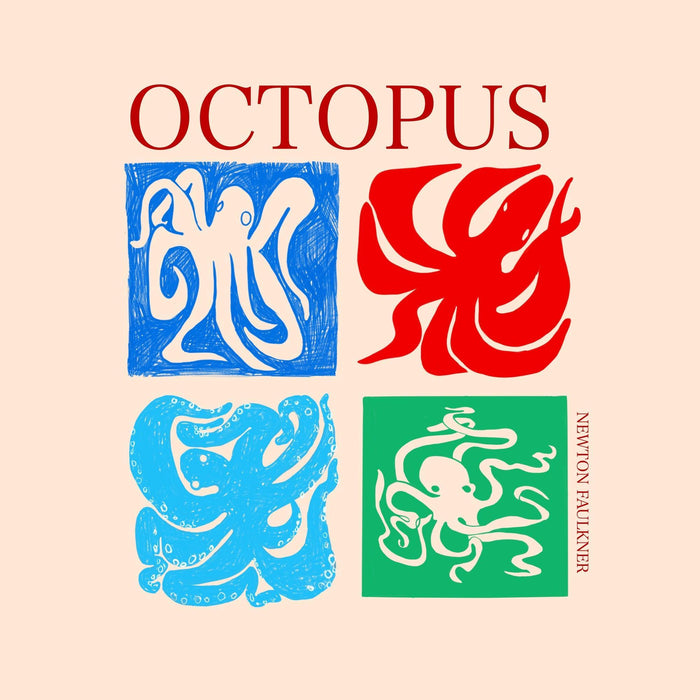 Newton Faulkner - OCTOPUS vinyl - Record Culture