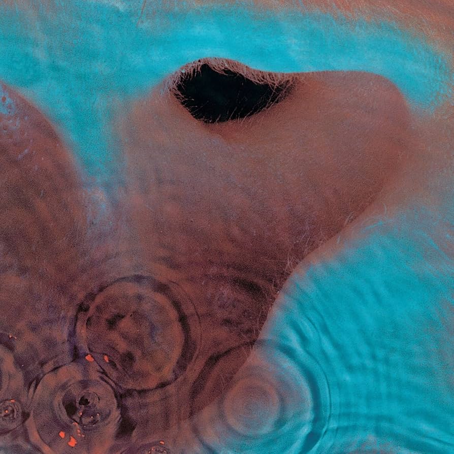 Pink Floyd - Meddle (2025 Reissue) vinyl - Record Culture