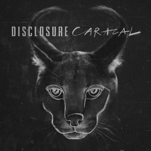 Disclosure - Caracal (10th Anniversary Zoetrope Edition) vinyl - Record Culture