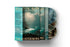 The Waterboys - Atlantic Rain: The Lost Fisherman's Blues Recordings vinyl - Record Culture