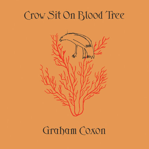 Graham Coxon - Crow Sit On Blood Tree (2026 Reissue) vinyl - Record Culture