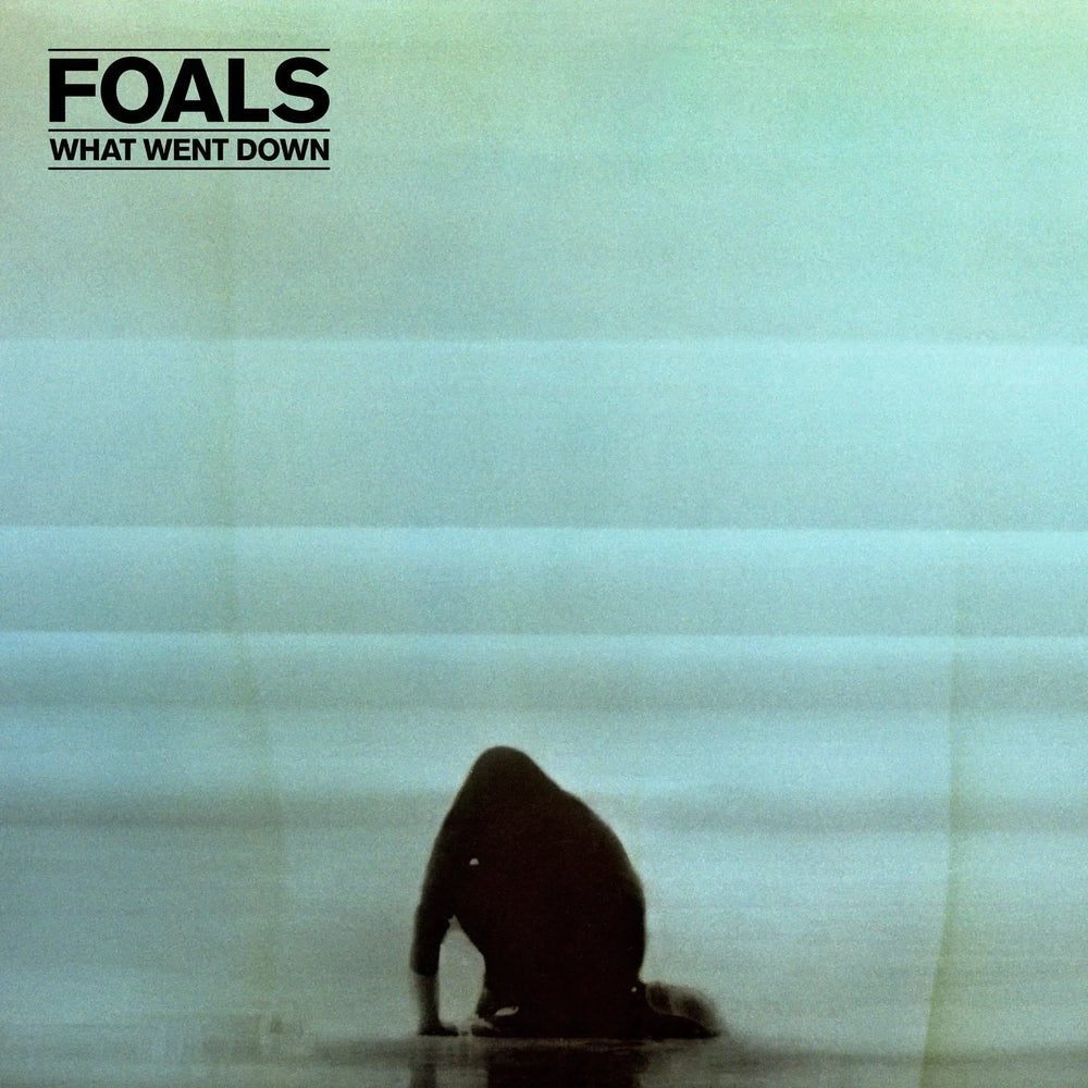 Foals - WHAT WENT DOWN (10th Anniversary Edition) vinyl - Record Culture