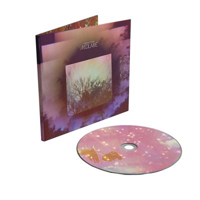 Midlake - A Bridge To Far vinyl - Record Culture