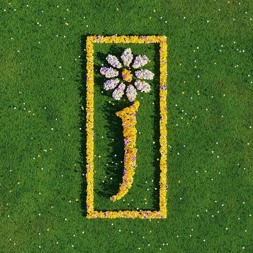 James - Nothing But Love: The Definitive Best Of vinyl - Record Culture