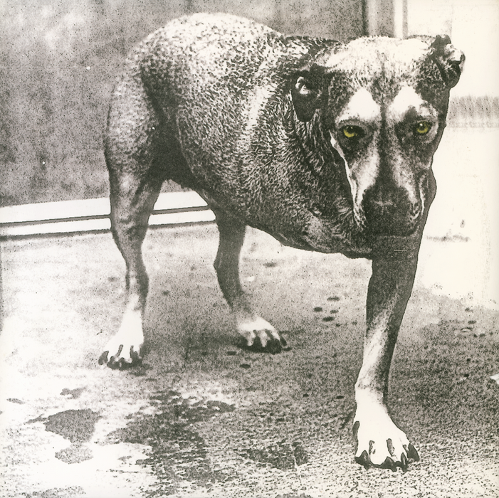 Alice In Chains (30th Anniversary)