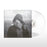 mary in the junkyard - Role Model Hermit vinyl - Record Culture