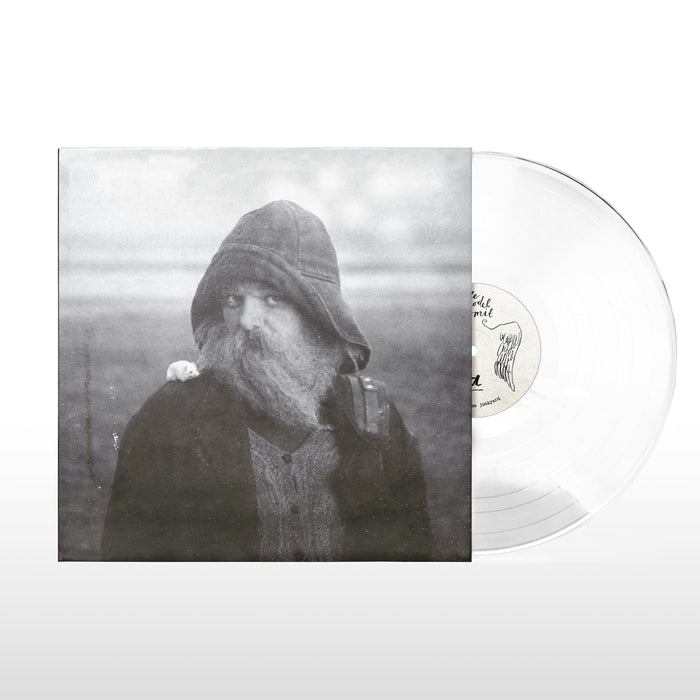 mary in the junkyard - Role Model Hermit vinyl - Record Culture