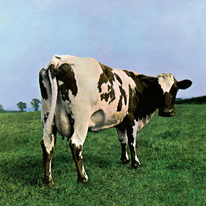 Pink Floyd - Atom Heart Mother Vinyl - Record Culture