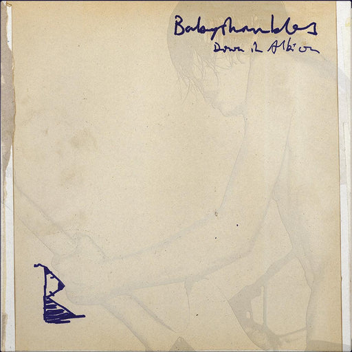 Babyshambles - Down in Albion (20th Anniversary Edition) vinyl - Record Culture