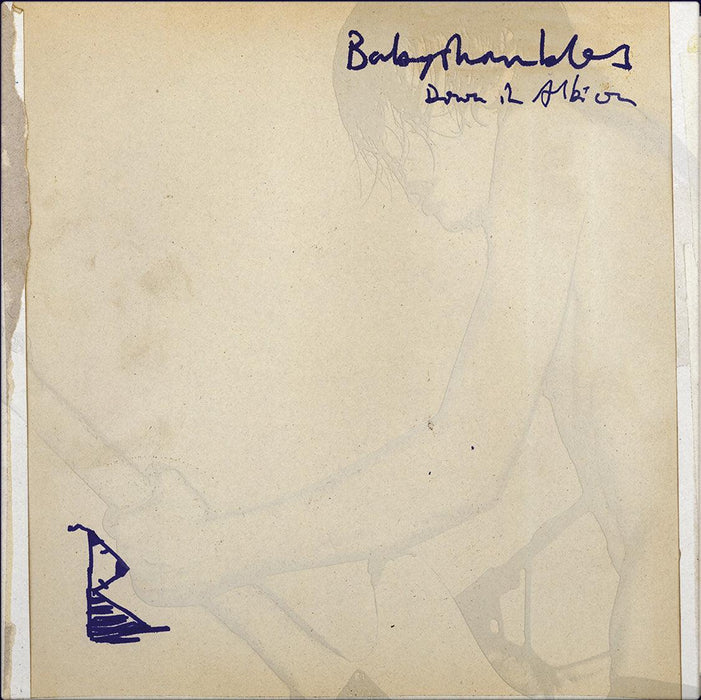 Babyshambles - Down in Albion (20th Anniversary Edition) vinyl - Record Culture