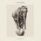 Liz Lawrence - Vespers vinyl - Record Culture