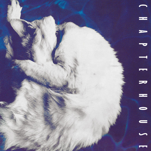 Whirlpool (2026 Reissue)