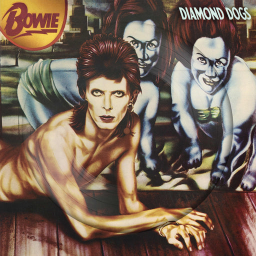 David Bowie - Diamond Dogs 50th Anniversary (Picture Disc) vinyl - Record Culture