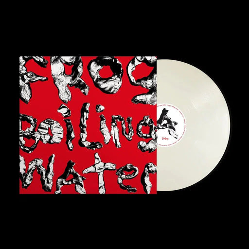 DIIV - Frog In Boiling Water vinyl - Record Culture