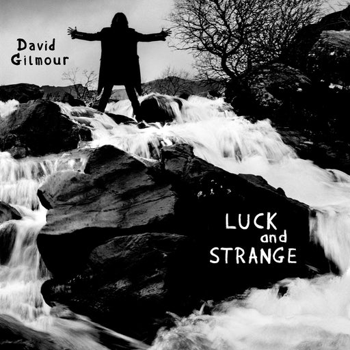 David Gilmour - Luck And Strange vinyl - Record Culture