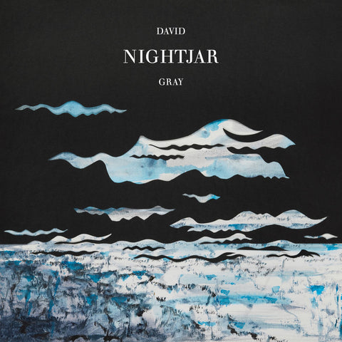 David Gray - Nightjar vinyl - Record Culture