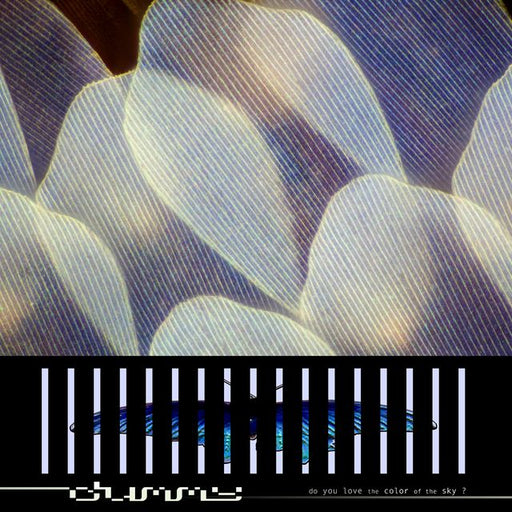 Dummy - do you love the color of the sky? vinyl - Record Culture
