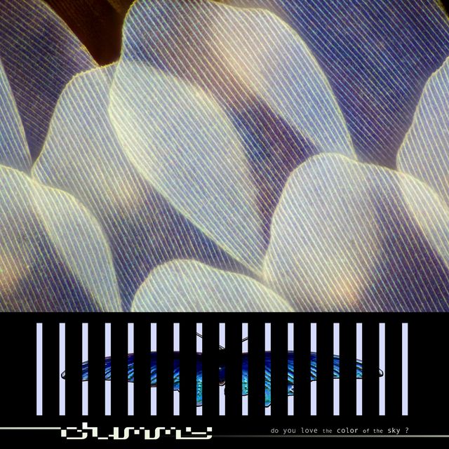 Dummy - do you love the color of the sky? vinyl - Record Culture