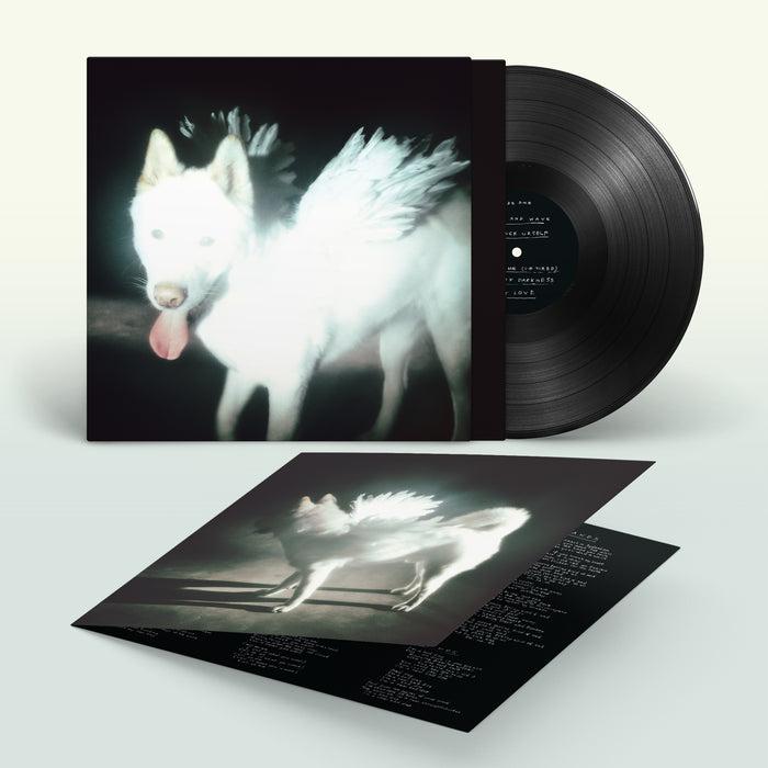 Fat Dog - Cancel Me (I'm Tired) vinyl - Record Culture