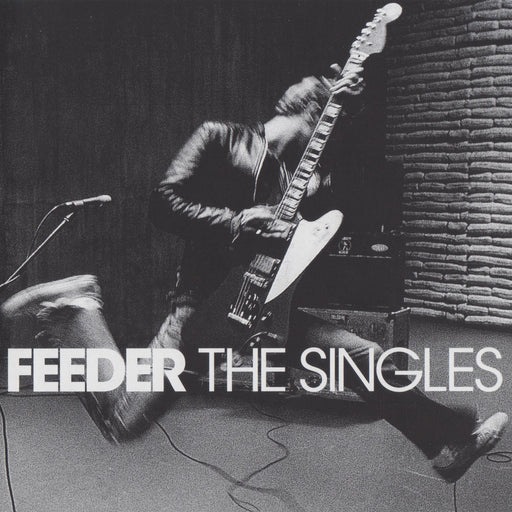Feeder - The Singles (20th Anniversary Repress) vinyl - Record Culture