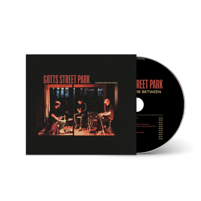 Gotts Street Park - Somewhere Between vinyl - Record Culture