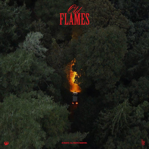 La Roux - Old Flames vinyl - Record Culture