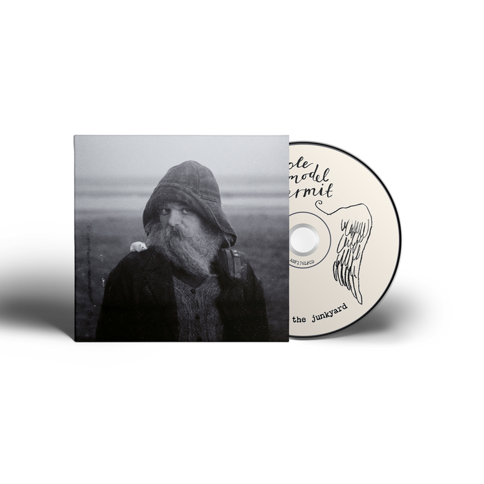 mary in the junkyard - Role Model Hermit vinyl - Record Culture