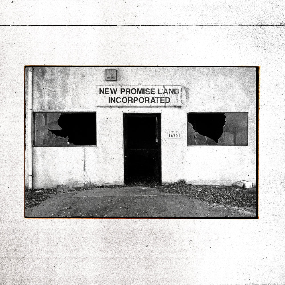 The Temperance Movement - New Promise Land Incorporated vinyl - Record Culture