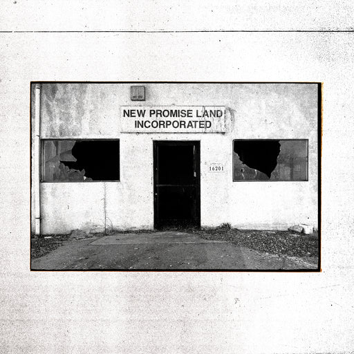 The Temperance Movement - New Promise Land Incorporated vinyl - Record Culture